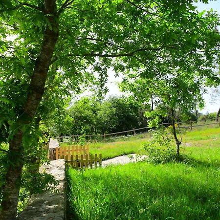 Casinha Rubiaes Villa Paredes de Coura Bagian luar foto